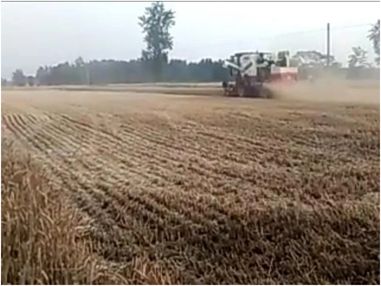 1594774809625210.png image.png