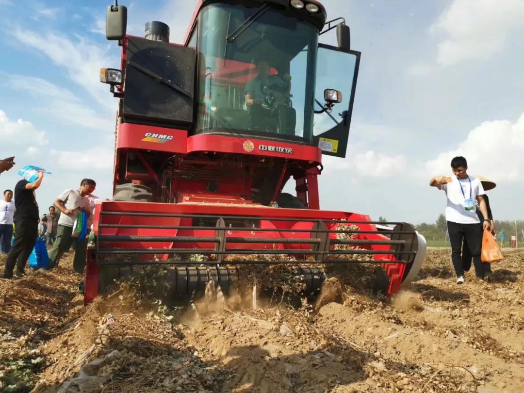 1637132253718266.jpg 1637132253718266.jpg