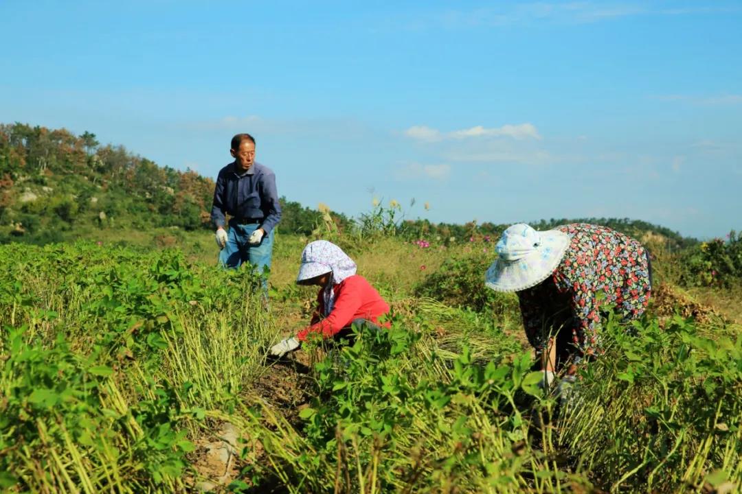 1637231566629954.jpg 1637231566629954.jpg