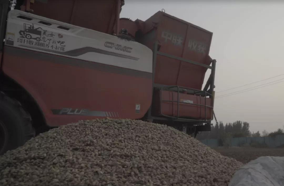 1637231658549689.jpg 1637231658549689.jpg