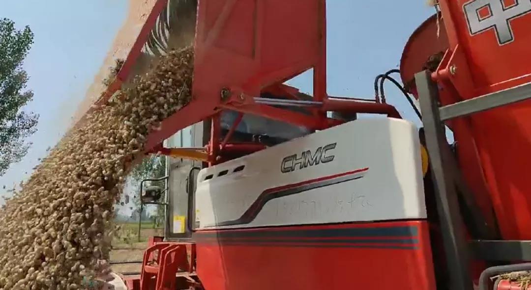 1637231683615572.jpg 1637231683615572.jpg