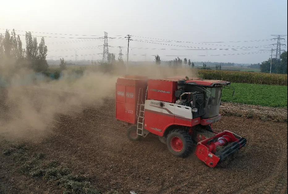 1637320412702422.jpg 1637320412702422.jpg