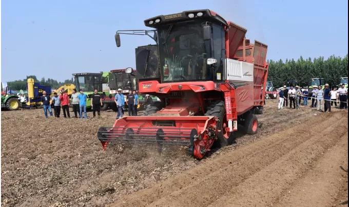 1638443858754364.jpg 写信2.jpg