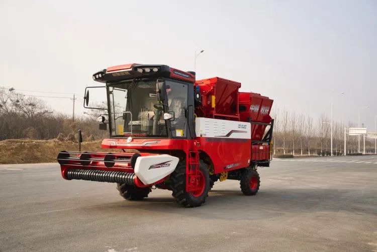 1648039145577073.jpg 3231.jpg