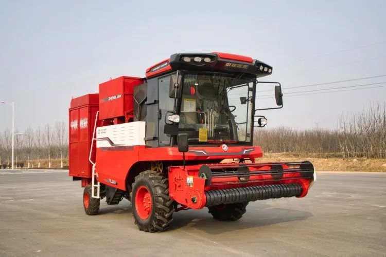 1648039155474494.jpg 3232.jpg