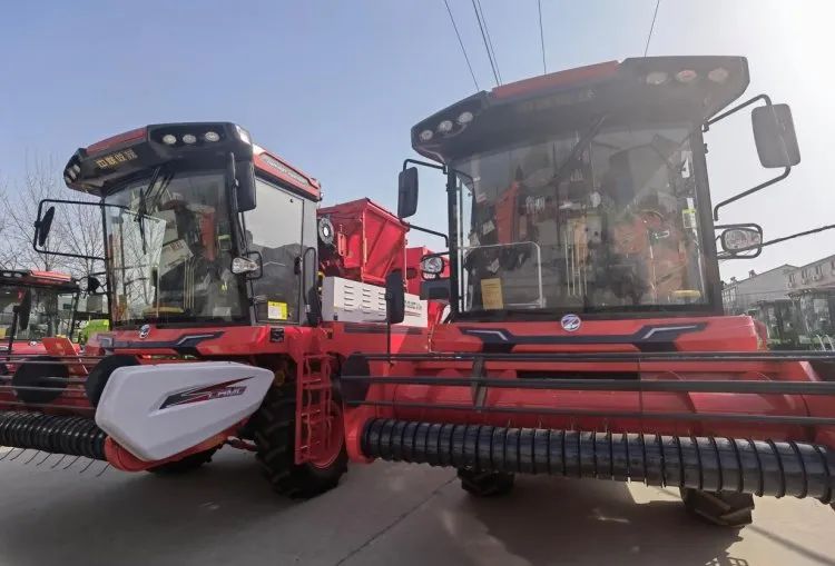 1651141165506815.jpg 4281.jpg