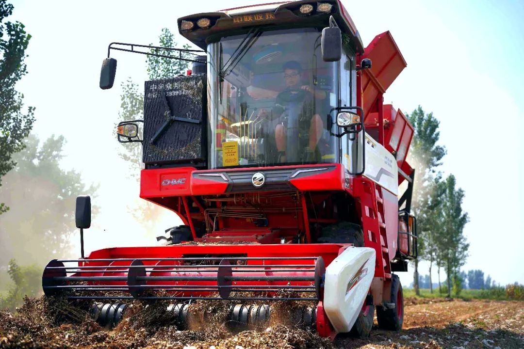 1652092164662713.jpg 509.jpg