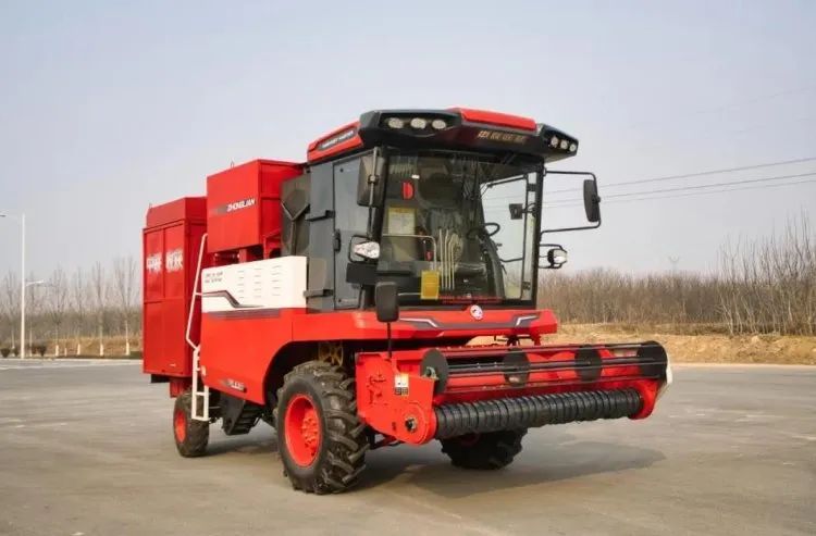 1653049944384466.jpg 520-1.jpg