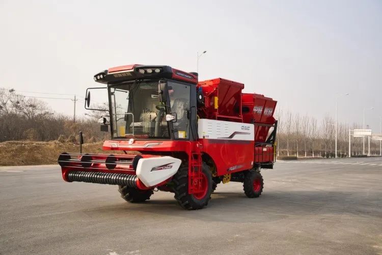 1653387653565621.jpg 524-2.jpg