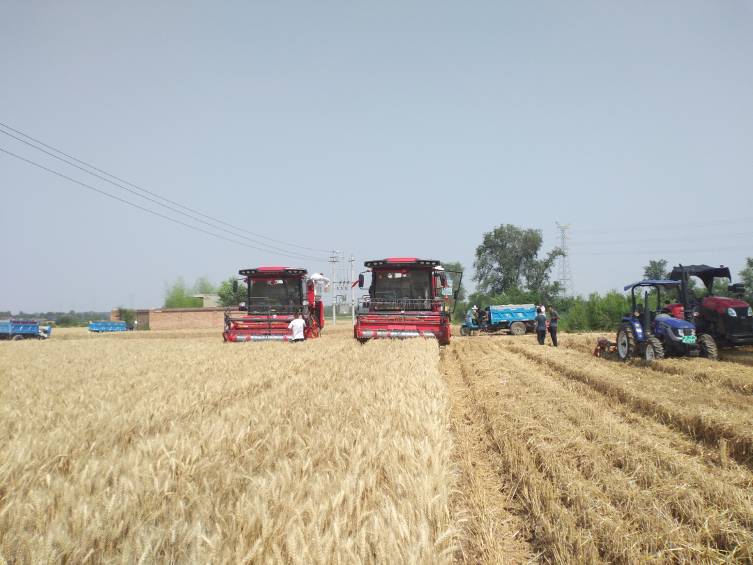 1655469262948870.png 617-2.png