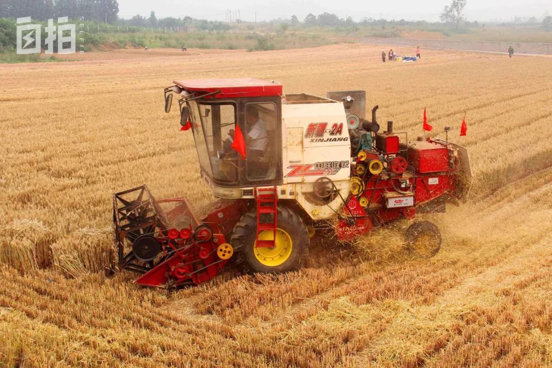 1655897292851160.jpg 6223.jpg