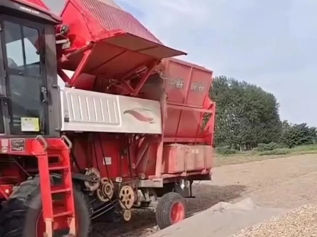 1658492612156258.jpg 722.jpg