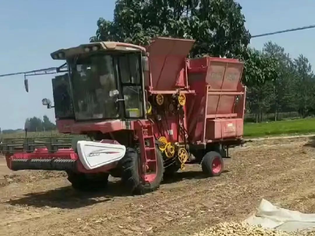 1658560284897160.jpg 723-1.jpg