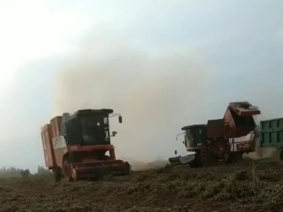 1659356298919406.jpg 801-2.jpg