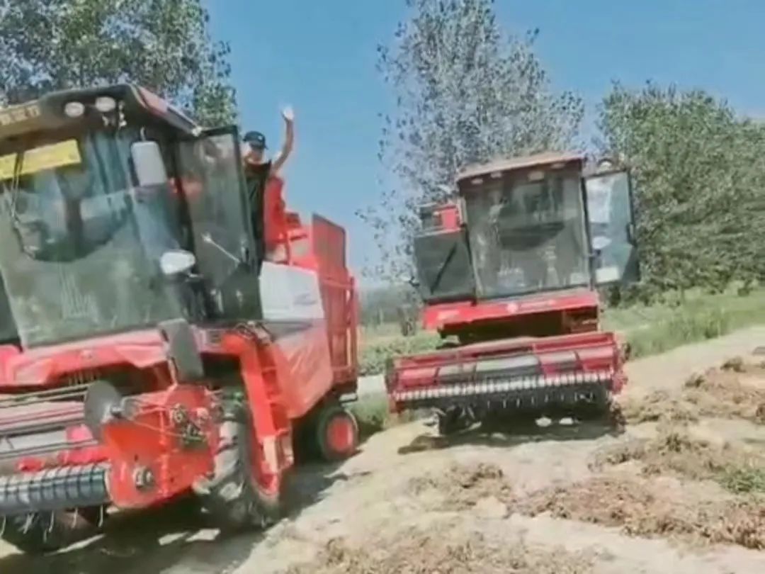 1660567049934450.jpg 814-2.jpg