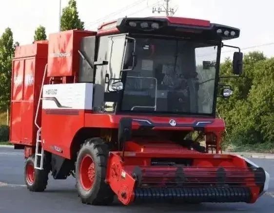 1664010484180199.jpg 924.jpg