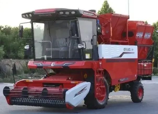 1664010518926368.jpg 924-2.jpg