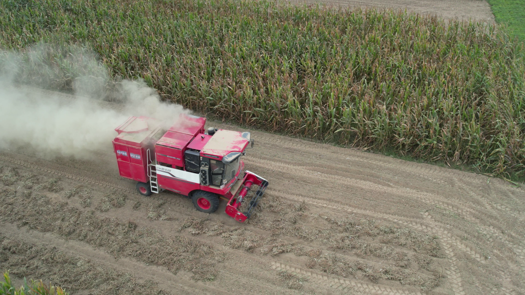 1665490255568368.png 1011-3.png