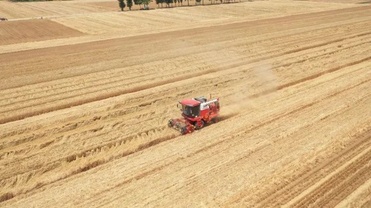 1680093414865828.jpg 329.jpg