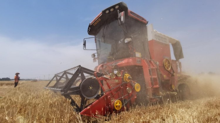 来自90后经销商的认可:从小接触新疆—2小麦机,对平博88收获完全认可(图3) 来自90后经销商的认可:从小接触新疆—2小麦机,对平博88收获完全认可(图3)