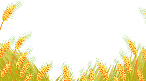 唐山丰南刘贺海:年收入翻两番 平博88收获花生机带来意外之喜 (图3) 唐山丰南刘贺海:年收入翻两番 平博88收获花生机带来意外之喜 (图3)