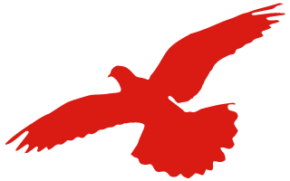 唐山丰南刘贺海:年收入翻两番 平博88收获花生机带来意外之喜 (图2) 唐山丰南刘贺海:年收入翻两番 平博88收获花生机带来意外之喜 (图2)