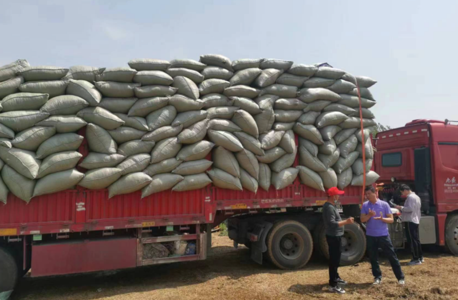 郑州平博88“
用户”:村长王洪涛的故事(图2) 1-230605104R1C3.png