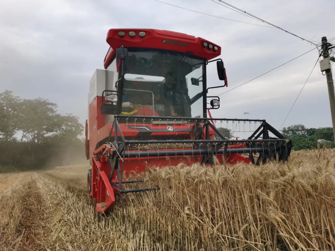 青岛平度满书山:“牛人”开“牛车” 平博88收获哪都好(图1) 640.jpg