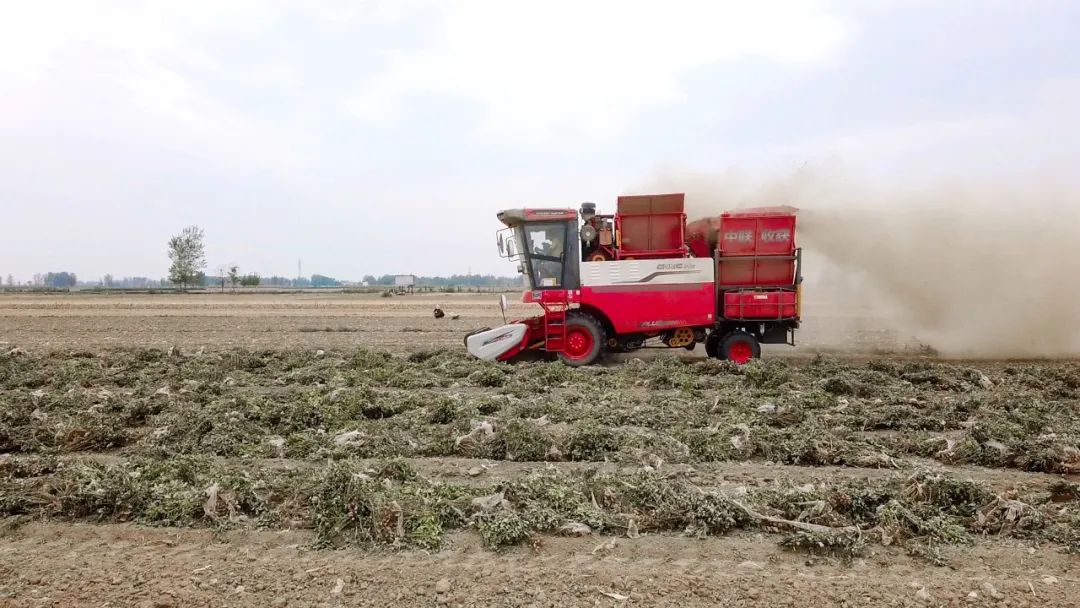 1689861459964186.jpg 333.jpg