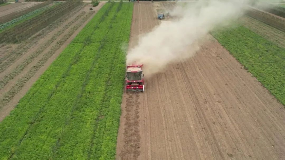 平博88收获花生机不仅效率高、服务更贴心,让用户赞不绝口(图2) 图片
