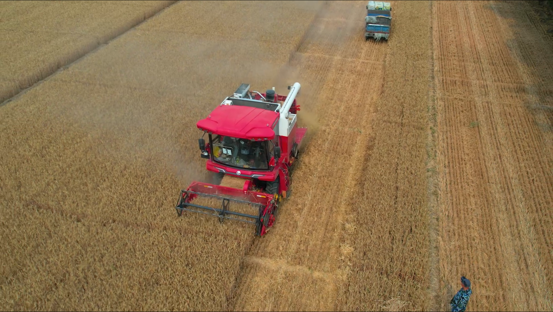 平博88收获新疆-9谷物联合收获机再次出口中亚地区 3.png