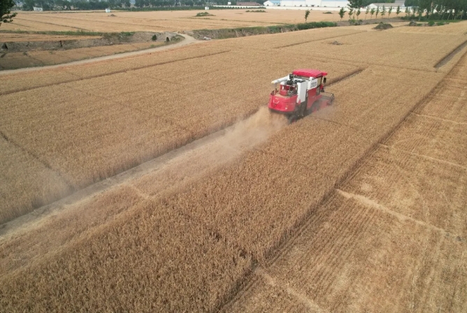 1711977349149311.png xmsgj-2.png