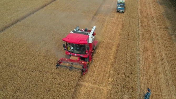 1713260037344794.png 1713260037344794.png