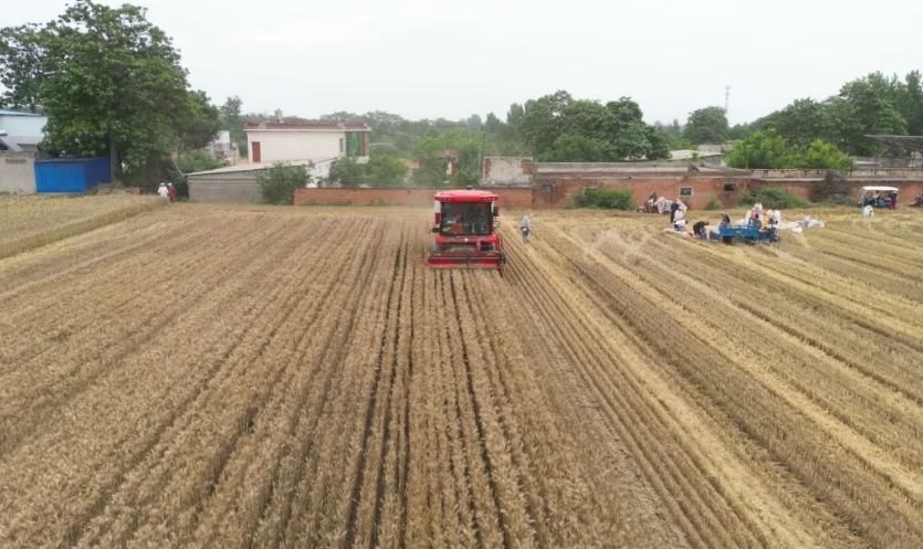 1713352137534245.png 1713352137534245.png