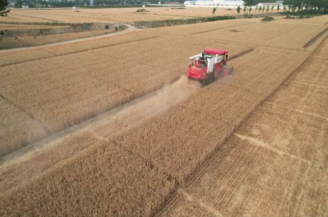 1715778275336143.png 1715778275336143.png