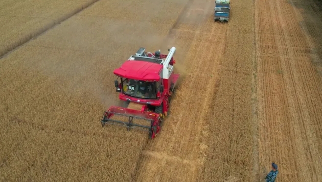 1715778353753318.png 1715778353753318.png