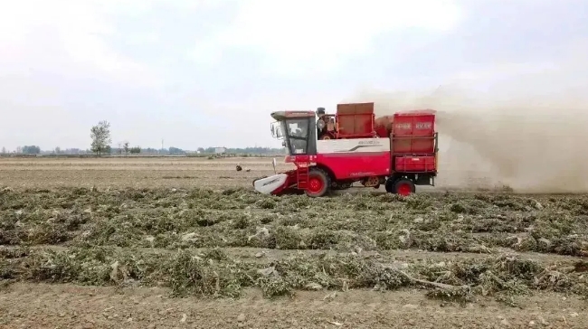 河南鹤壁魏师傅:六年连购四台,相信平博88收获,更相信平博88品质(图1) 1.png