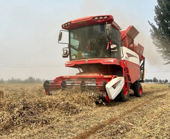 1745939117911604.jpg 1.jpg