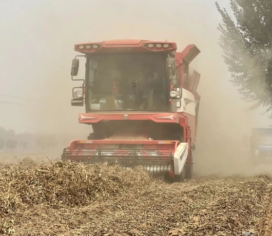 1745939124268236.jpg 2.jpg