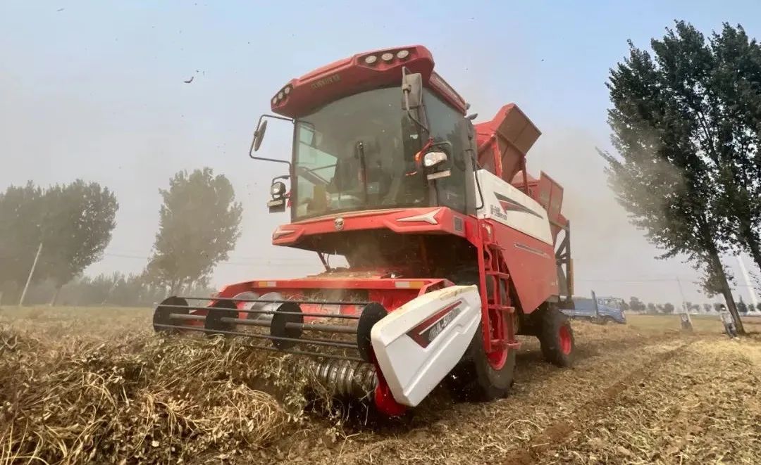 1751540410318012.jpg 1751540410318012.jpg