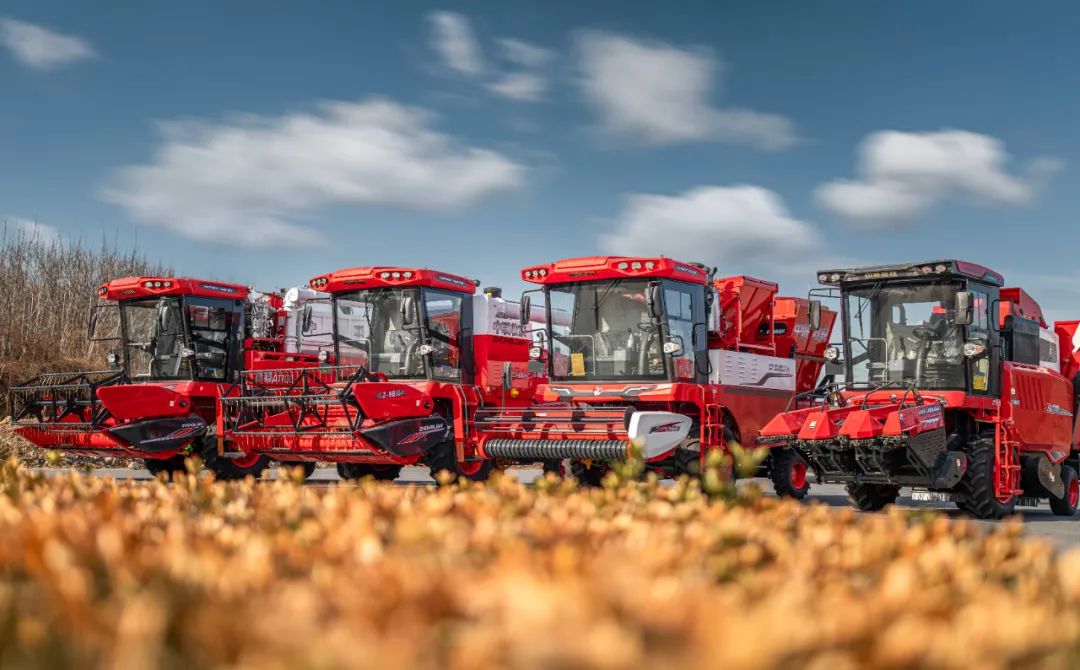 1751595610392540.jpg 1751595610392540.jpg