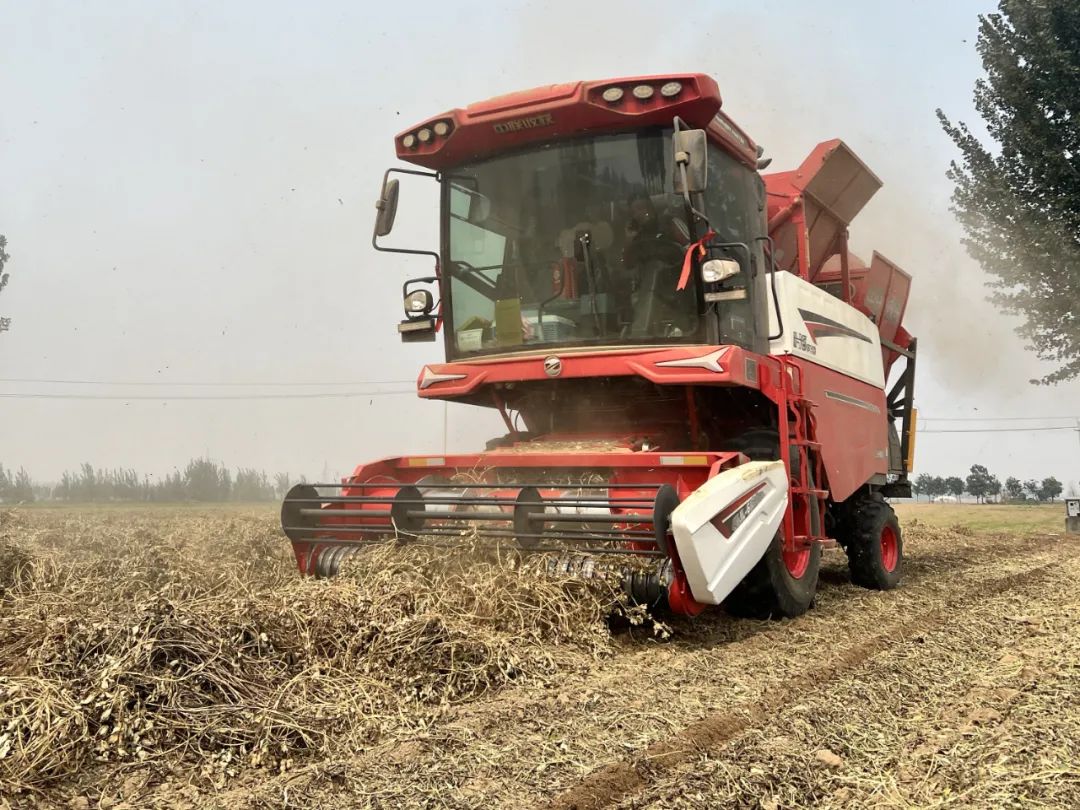 1751596440763846.jpg 1751596440763846.jpg