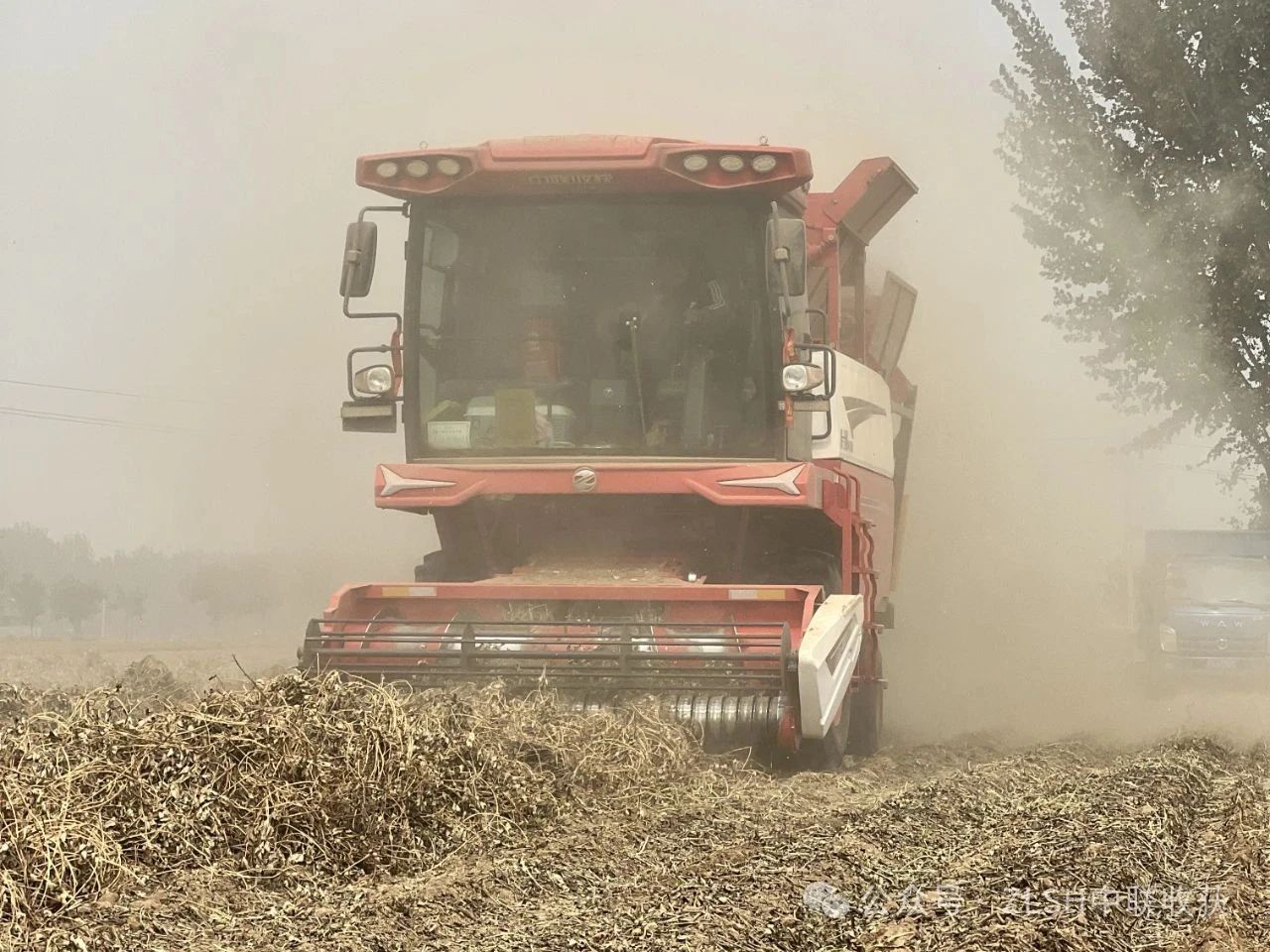 1751598740688225.jpg 1751598740688225.jpg