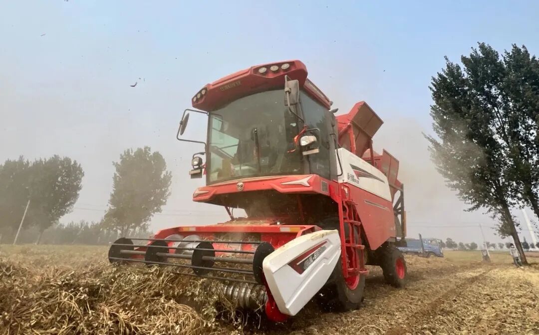 1758871702357242.jpg 1758871702357242.jpg