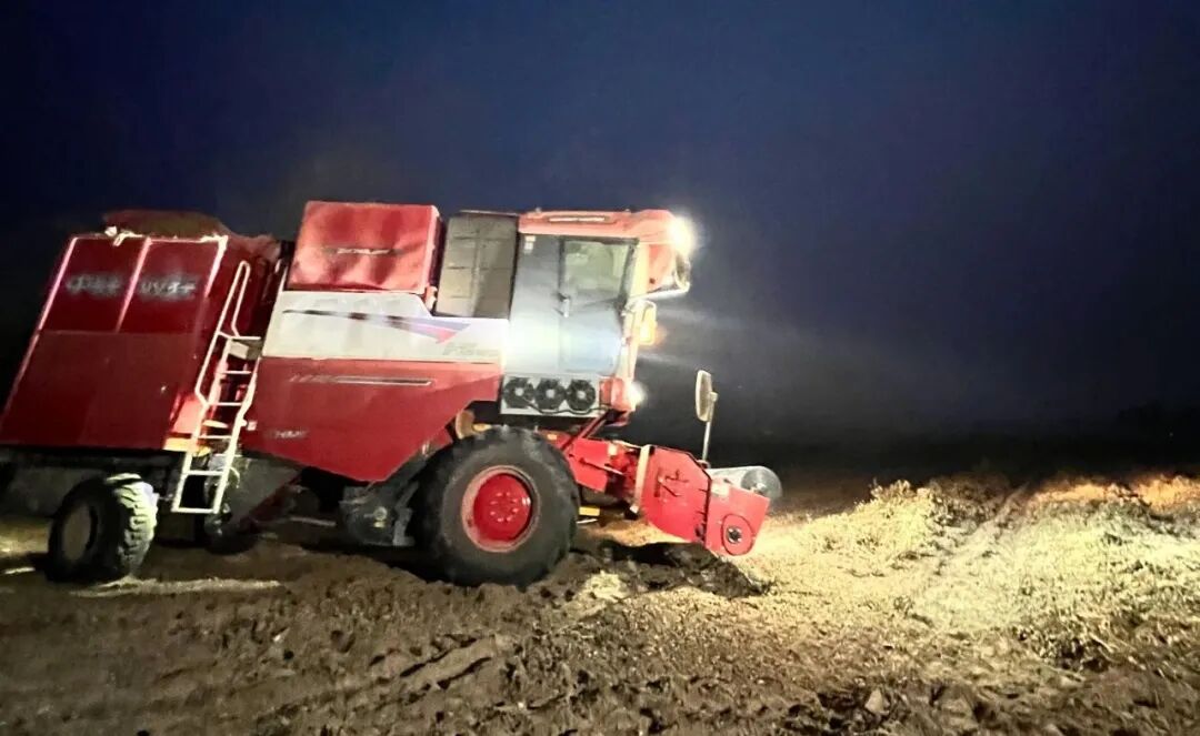 1758871731688896.jpg 1758871731688896.jpg