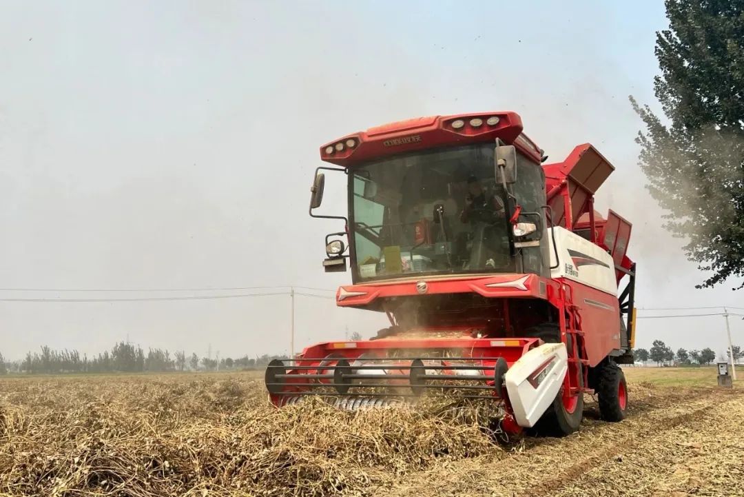 1758871846858832.jpg 1758871846858832.jpg