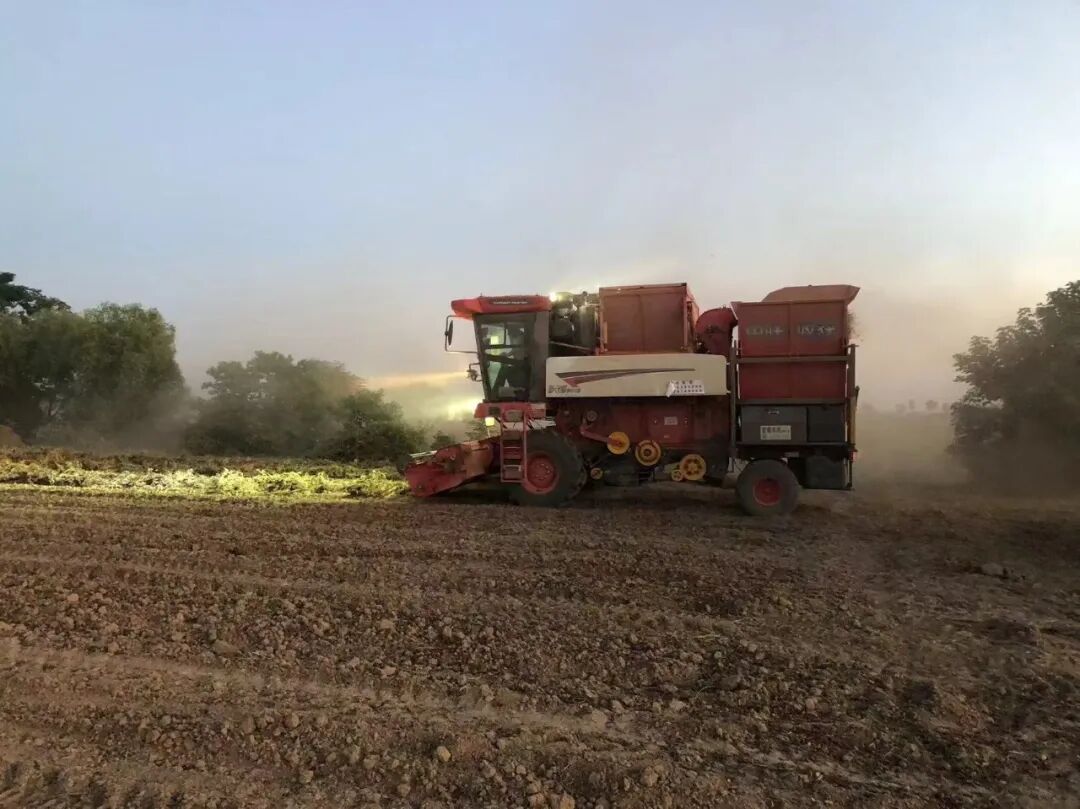 1758871926559873.jpg 1758871926559873.jpg