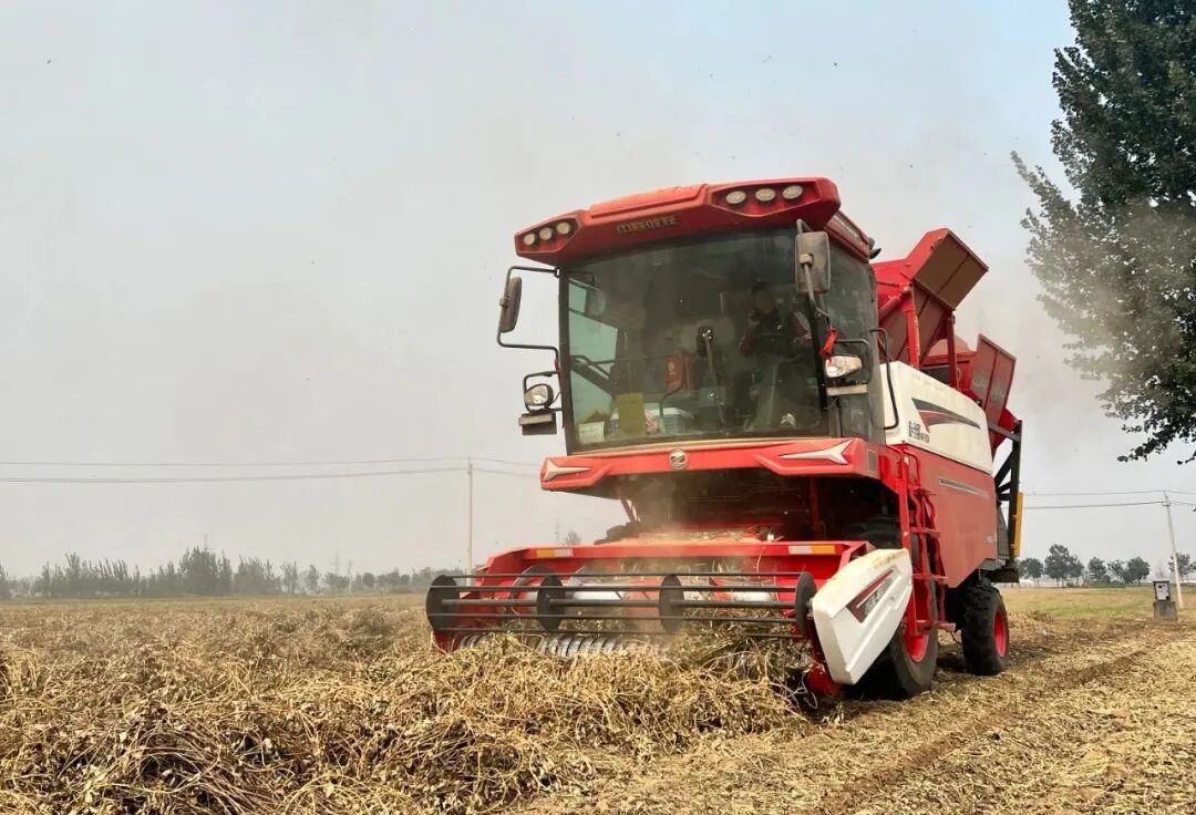 1758871953861537.jpg 1758871953861537.jpg