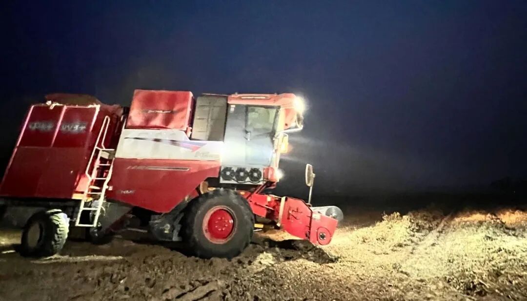 1758871986886566.jpg 1758871986886566.jpg