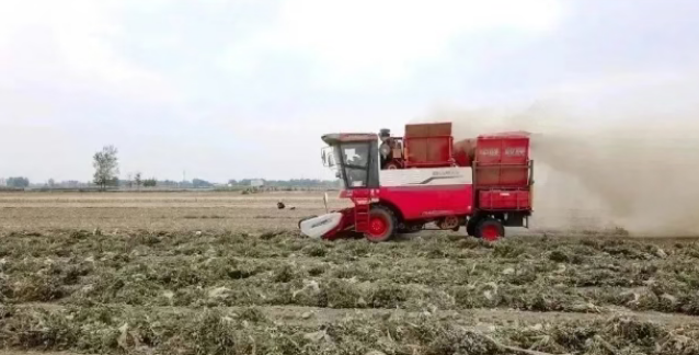 1758872033720668.png 1.png